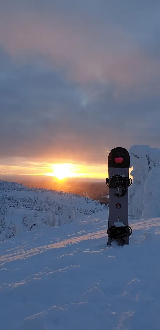 Burton Yeasayer snowboard dam Flora 140 mjuk twin