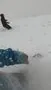 Burton 3D Fish Directional Flat Top snowboard 156