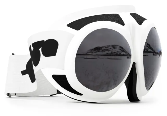 Rovfluga Goggles skidglasögon grå lins allround