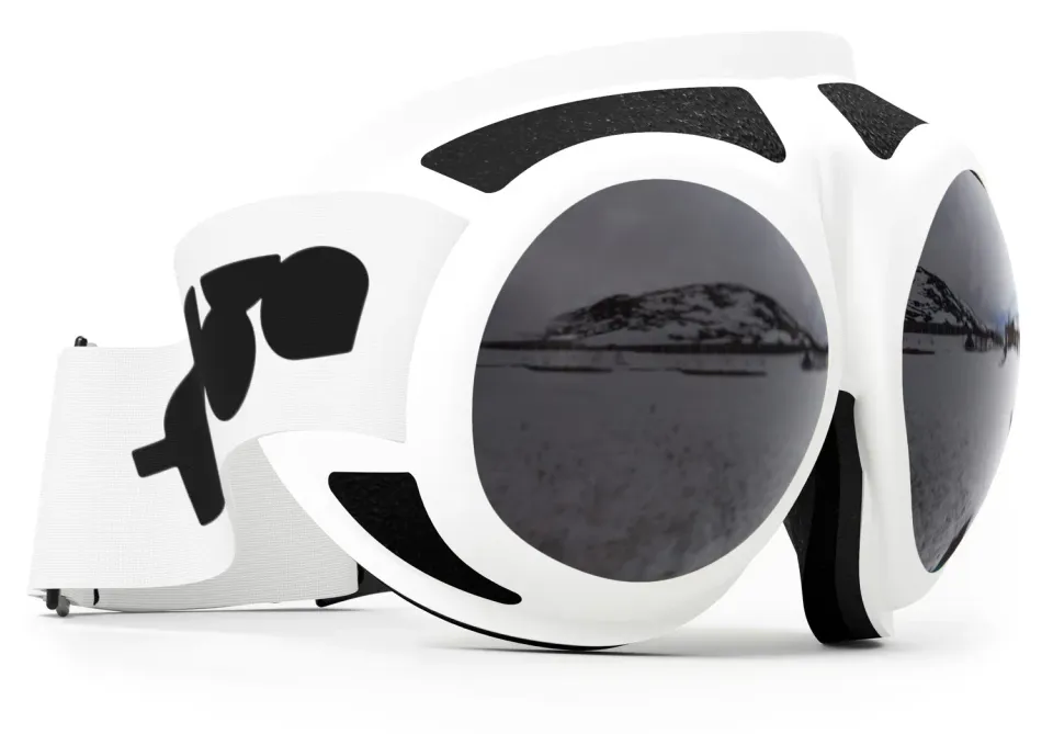 Rovfluga Goggles skidglasögon grå lins allround