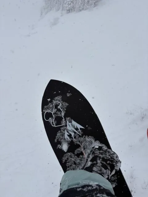 Jones Storm Chaser 147 Snowboard puder swallowtail