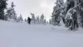 Burton Throwback snowboard 130 pulka snowsurf
